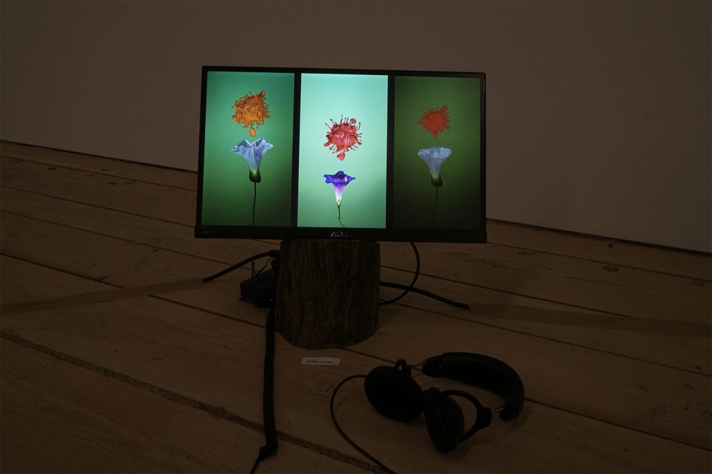 Installation at Foreland, 2022 as part of "The Moving Picture Show" curated by Peggy Ahwesh
